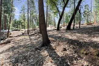 5521 Begonia Dr, Pollock Pines, CA 95726