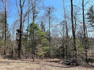 0 Tallman Hollow Rd Unit LOT 5 WB-96972, Upper Fairfield Township, PA 17754