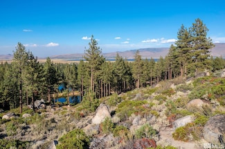00 Franktown Rd, Washoe Valley, NV 89704