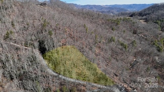 Lot 11 Bernies Trail, Waynesville, NC 28785