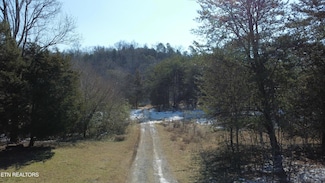 334 S Fork Branch Rd, Rogersville, TN 37857