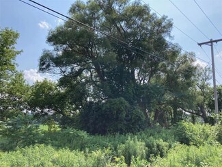 0 Heifer St, Skaneateles, NY 13152
