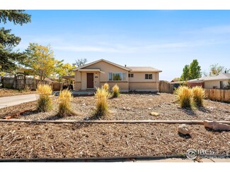 118 Ash Ave, Castle Rock, CO 80104