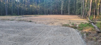 12288 Bloomville Rd, Manning, SC 29102