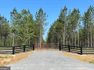 0 Dewey Thomas Rd Unit LOT 7 10589704, Dexter, GA 31019