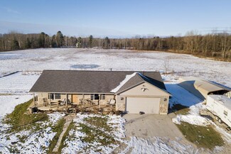 951 N Jones Rd, Pierson, MI 49339