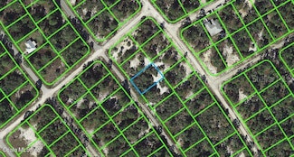 535 Dreamland Dr, Lake Placid, FL 33852