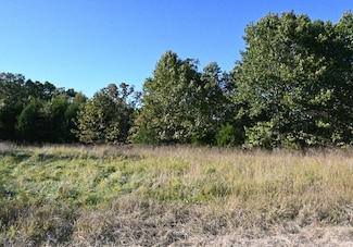 Lot 1 Stoney Point Cir, Shell Knob Township, MO 65747
