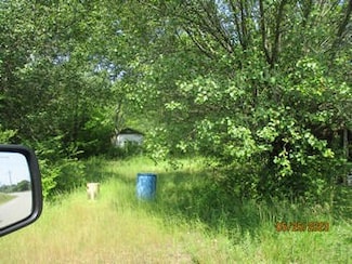 0 Padgett Island Rd, Magness, AR 72553