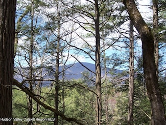 Lot 3 White Pine Ln, Saugerties, NY 12477