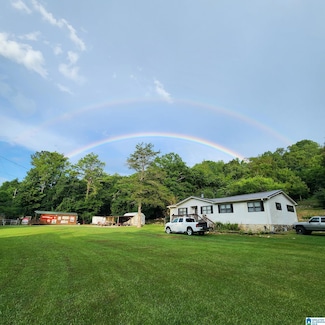 18981 Remlap Dr, Remlap, AL 35133
