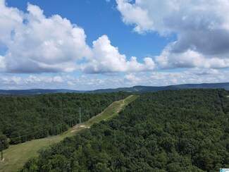 0 Old Reaves Rd Unit 67.5 ac 1327116, Anniston, AL 36201