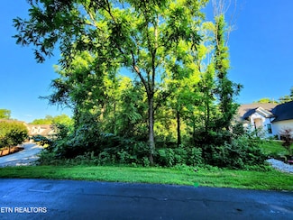 141 Saloli Way, Loudon, TN 37774