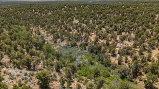 000 Tbd Cr 116, Hesperus, CO 81326