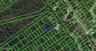 1234 Haviland St, Lake Placid, FL 33852