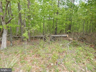 0 Plum Tree Ln Unit WVMO2003458, Berkeley Springs, WV 25411