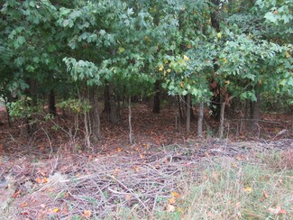375 1/2 Baywood Dr, Piney Flats, TN 37686