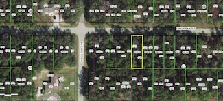 3212 E Murray St, Inverness Highlands North, FL 34453