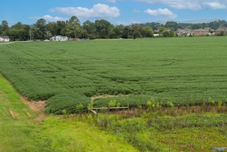 22 acres Highway 431, Owens Cross Roads, AL 35763