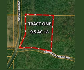 0 Gobbler Creek Rd Unit Tract 1 11528943, Wedowee, AL 36278