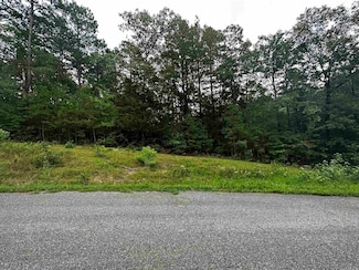 Lot 47 Cobalt Bay Dr, Shirley, AR 72153
