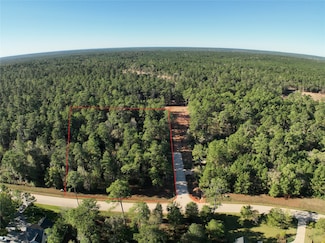 3 Augusta Dr, Montgomery, TX 77316