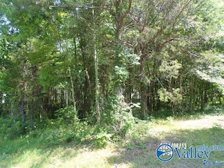 .44 ac Hackberry Ln, Hokes Bluff, AL 35903