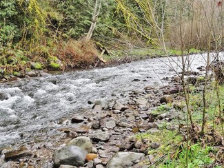 0 Frosty Rose Ln Unit 908089, Randle, WA 98377