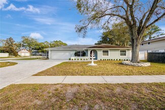 1300 Foggy Ridge Pkwy, Lutz, FL 33559