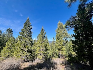 1040 Star Top, Portola, CA 96122