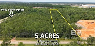 0 Roscoe Rd Unit 378679, Gulf Shores, AL 36542