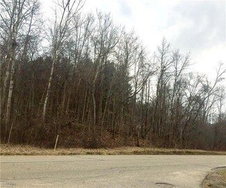 V/L Sherman Rd, Chesterland, OH 44026