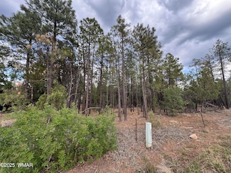 212 E White Mountain Blvd, Pinetop-Lakeside, AZ 85935