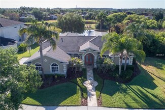19131 Harborbridge Ln, Lutz, FL 33558