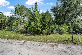 0 No Street Name Unit MFRV4943752, Oak Hill, FL 32759