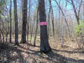 LOT 2 Anchor Inn Rd, La Follette, WI 54893