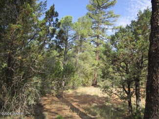 740 E Whipple St, Show Low, AZ 85901