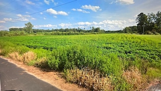 TBD Neil Branch Rd, Loris, SC 29569