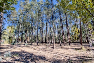 040C Vallery Ln, Pinetop-Lakeside, AZ 85929