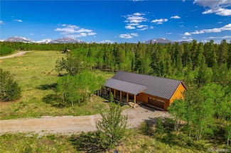 140 Vine Rd, Fairplay, CO 80440
