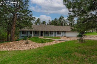 1038 Tenderfoot Dr, Larkspur, CO 80118