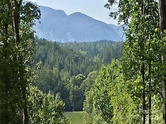 0 S Cross Creek Trail Unit 12 CAR4258799, Mill Spring, NC 28756