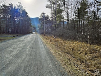 0 Stone Mountain Rd Unit 156316, Cairo, NY 12413