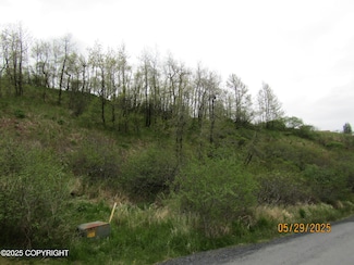 11400 Bells Flats Rd, Womens Bay, AK 99615