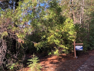 0 Whispering Pines, Challenge-Brownsville, CA 95941