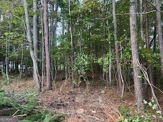 21 Skyline Dr, Braswell, GA 30153