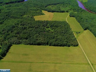 TBD County Rd 79, Littlefork, MN 56653