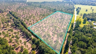 Lot 4 Camp Rawls & Bluffwood Rd, Wagener, SC 29164
