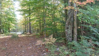 7 Alden Washburn Dr Unit Lot 7, Tamworth, NH 03817