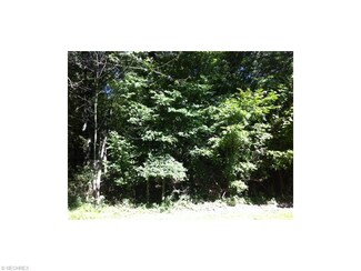 9008 N Sarsi Cove, Negley, OH 44441